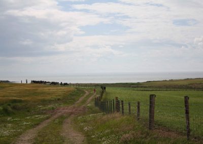 IMG_4665
